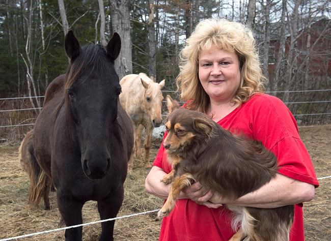 Healthy pets sometimes euthanized for owners' convenience: veterinary groups | iNFOnews.ca Healthy pets sometimes euthanized for owners' convenience: veterinary groups | iNFOnews.ca