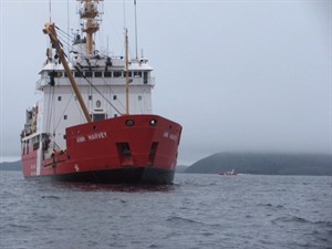 CP32530096