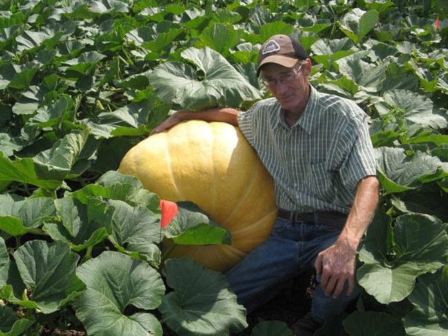 Wet weather in the west and dry weather in the east affecting crops | iNFOnews.ca