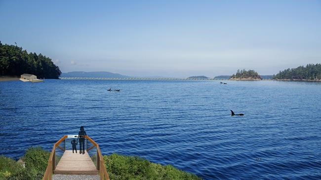 Nova Scotia shortlisted as potential site for world's first whale sanctuary | iNFOnews.ca