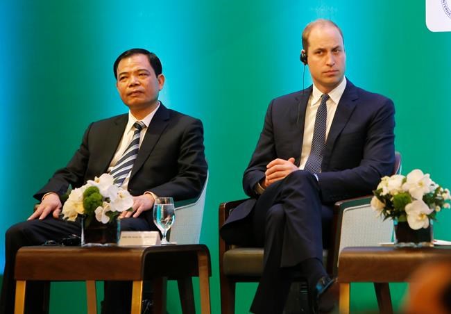 Prince William: We're still step behind wildlife traffickers | iNFOnews.ca