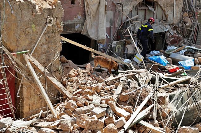 US aid begins flowing to Lebanon in wake of deadly explosion | iNFOnews.ca