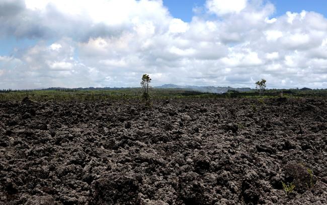 Hawaii volcano eruption costs tourism industry millions | iNFOnews.ca CP454831051