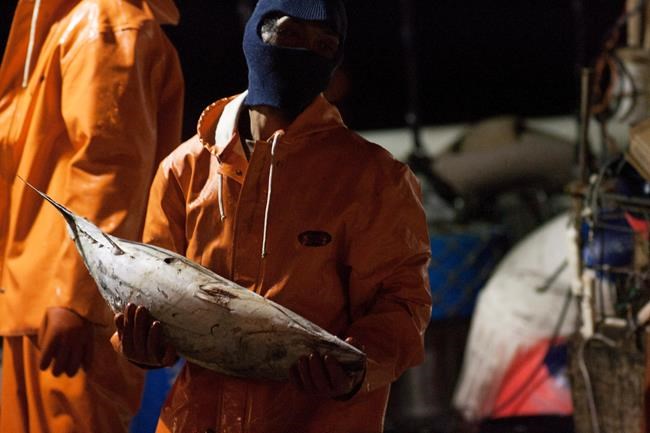 Hawaii court hears case on legality of foreign fishing labour | iNFOnews.ca
