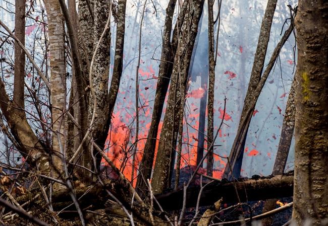 Scientists: Kilauea volcano may have explosive eruption | iNFOnews.ca Scientists: Kilauea volcano may have explosive eruption | iNFOnews.ca