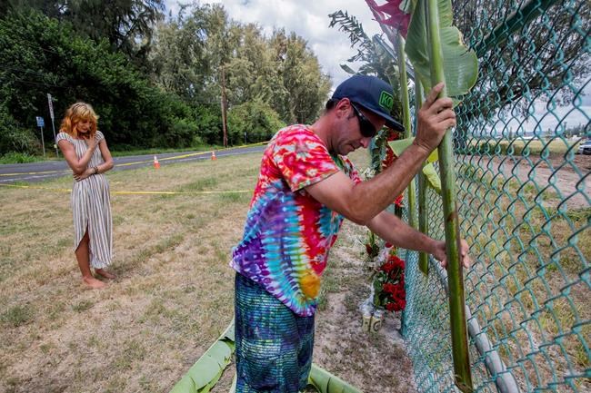 Skydiver of previous wreck on Hawaii plane 'extremely upset' | iNFOnews.ca