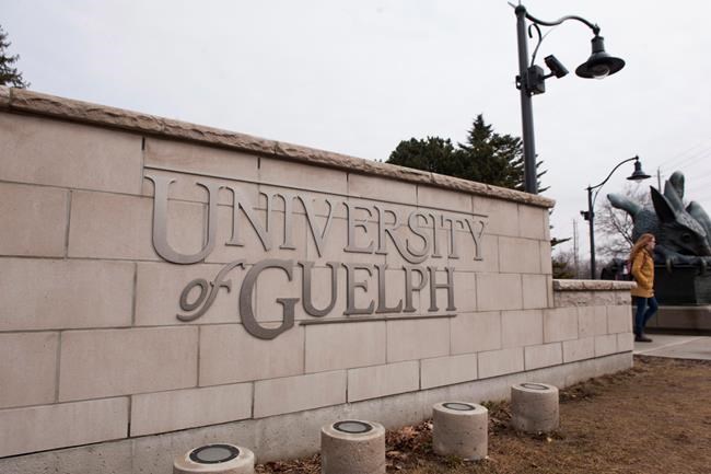 University of Guelph execs go door-knocking to check on students mental health | iNFOnews.ca