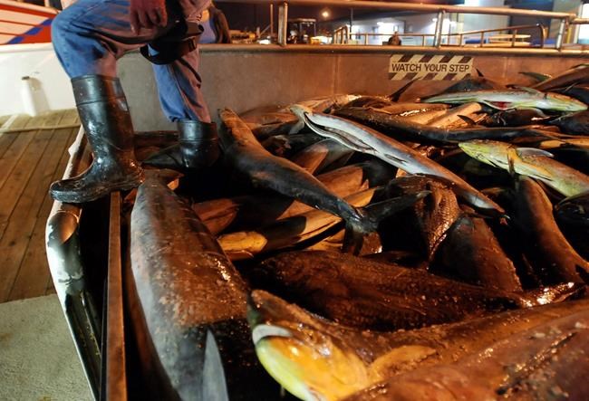 Bill introduced allowing Hawaii's foreign fishermen onshore | iNFOnews.ca