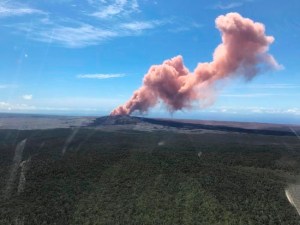 CP2126631556