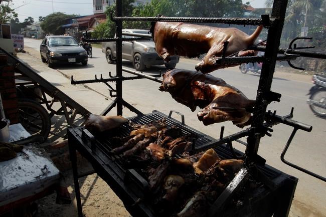 Cambodian province famous for Angkor Wat bans dog meat trade | iNFOnews.ca