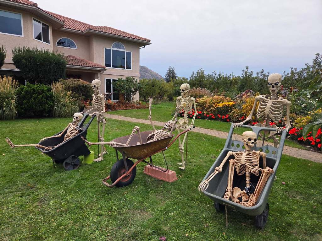 iN PHOTOS: Amusing Halloween shenanigans captured around Thompson-Okanagan | iNFOnews.ca iN PHOTOS: Amusing Halloween shenanigans captured around Thompson-Okanagan | iNFOnews.ca