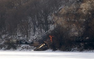 CP31763384