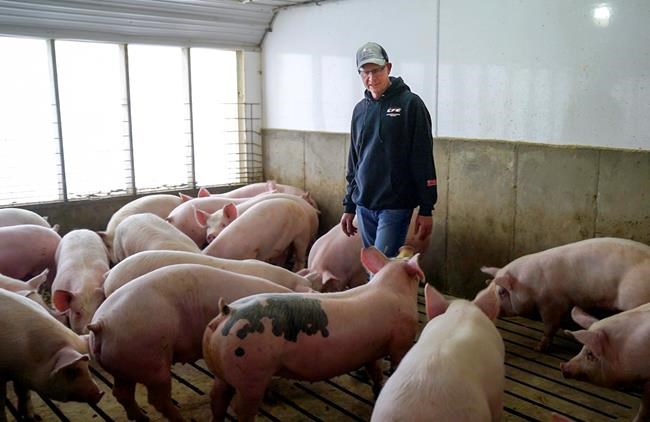 Trump's call for tariffs creating anxiety in the farm belt | iNFOnews.ca Trump's call for tariffs creating anxiety in the farm belt | iNFOnews.ca