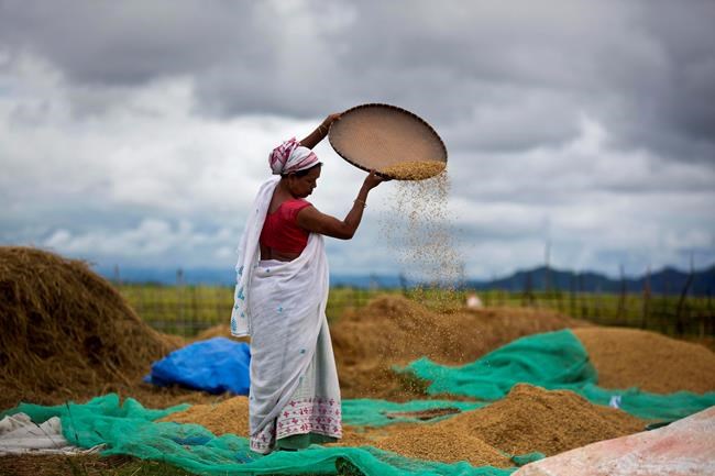 Indian lawmakers pass farm bills amid uproar in Parliament | iNFOnews.ca Indian lawmakers pass farm bills amid uproar in Parliament | iNFOnews.ca