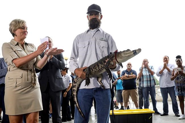 Chicago's elusive gator settles in new home in Florida | iNFOnews.ca CP56956405