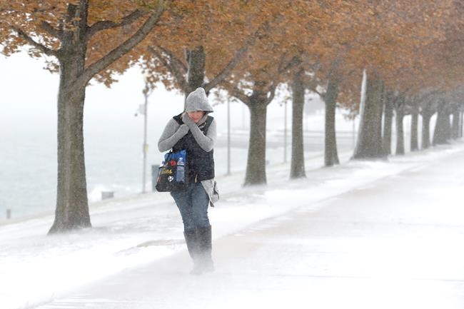 The Latest: About 1,200 flights cancelled at O'Hare airport | iNFOnews.ca The Latest: About 1,200 flights cancelled at O'Hare airport | iNFOnews.ca