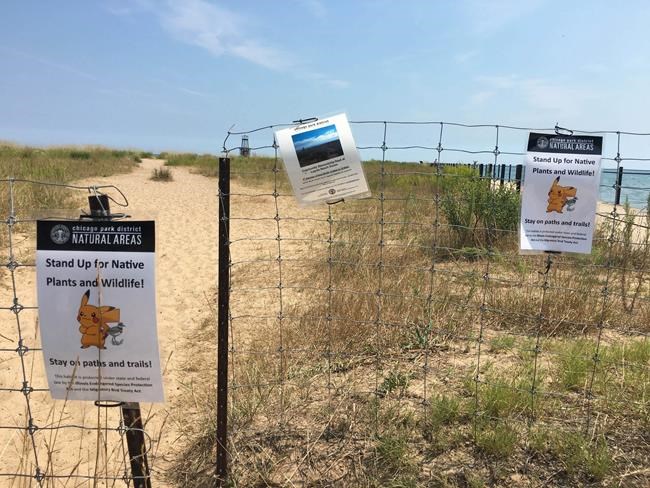 Chicago lawmaker proposes cracking down on Pokemon Go sites | iNFOnews.ca CP785191535