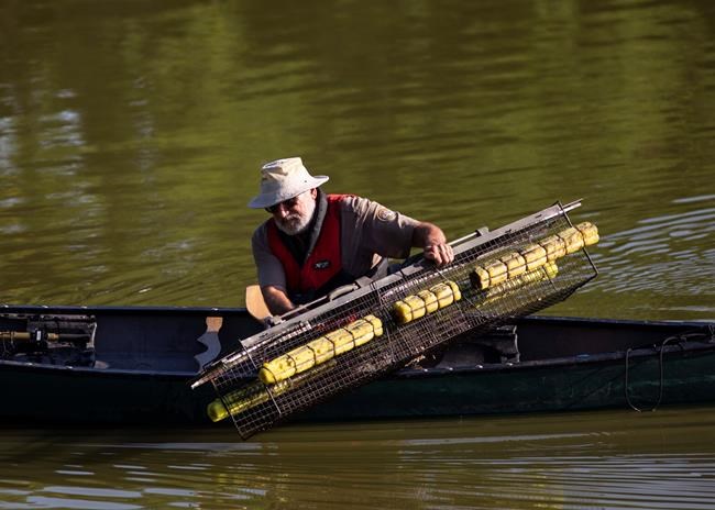 Florida expert flies to Chicago to help catch alligator | iNFOnews.ca Florida expert flies to Chicago to help catch alligator | iNFOnews.ca