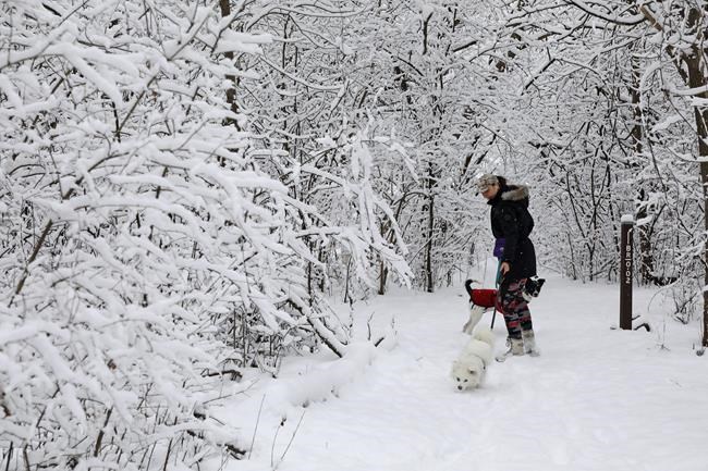 Bitter cold in Midwest, Northeast to ease during weekend | iNFOnews.ca Bitter cold in Midwest, Northeast to ease during weekend | iNFOnews.ca