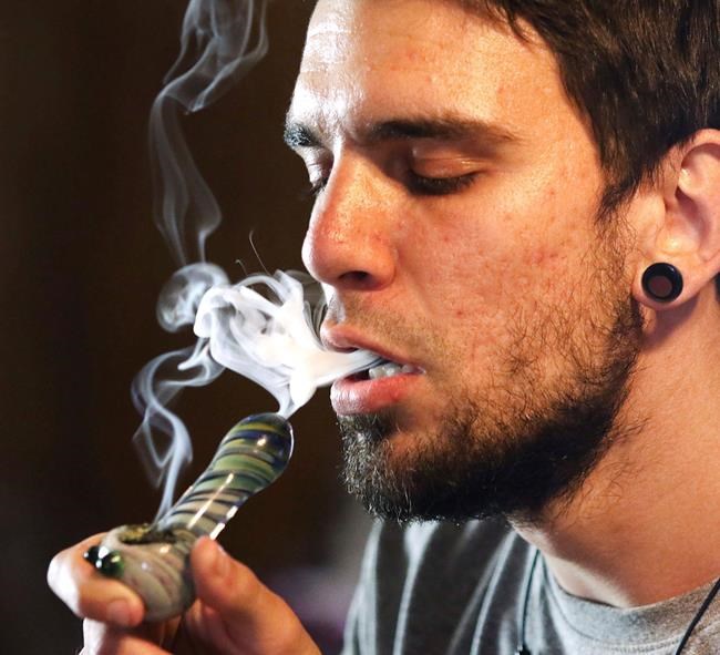 Illinois becomes 11th state to allow recreational marijuana | iNFOnews.ca