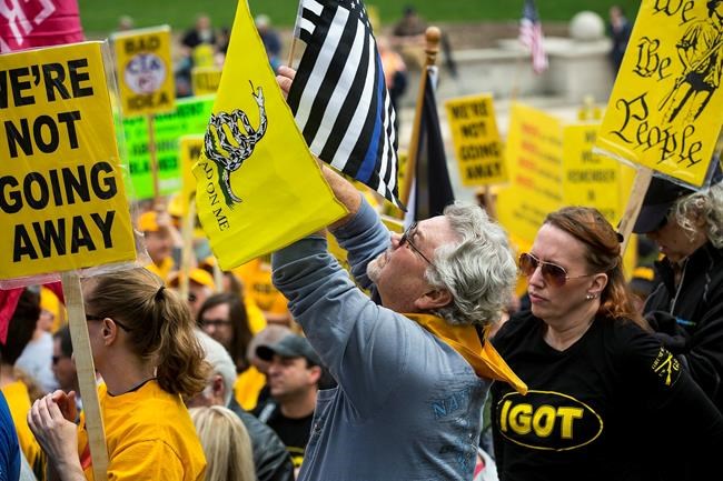 Illinois counties declare 'sanctuary' status for gun owners | iNFOnews.ca