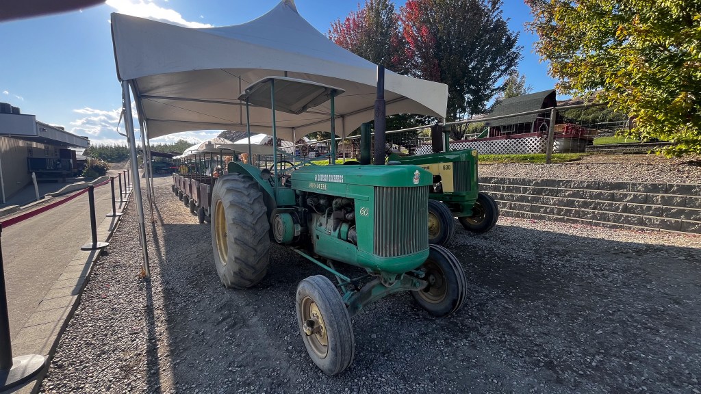 Start a new family tradition at Davison Orchards’ pumpkin patch | iNFOnews.ca Start a new family tradition at Davison Orchards’ pumpkin patch | iNFOnews.ca