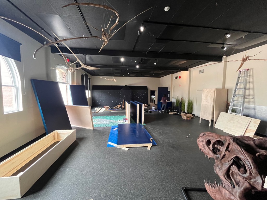 Never before seen flying pterosaurs heading to Okanagan Science Centre | iNFOnews.ca