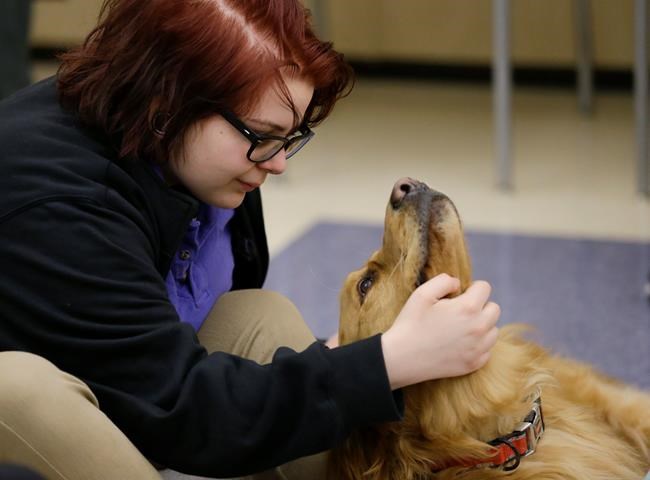 Overcoming Opioids: Special schools help teens stay clean | iNFOnews.ca