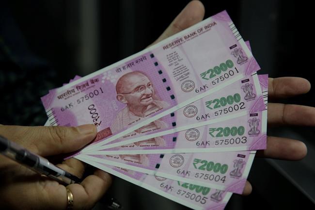 In India, rats have a $19,000 meal | iNFOnews.ca