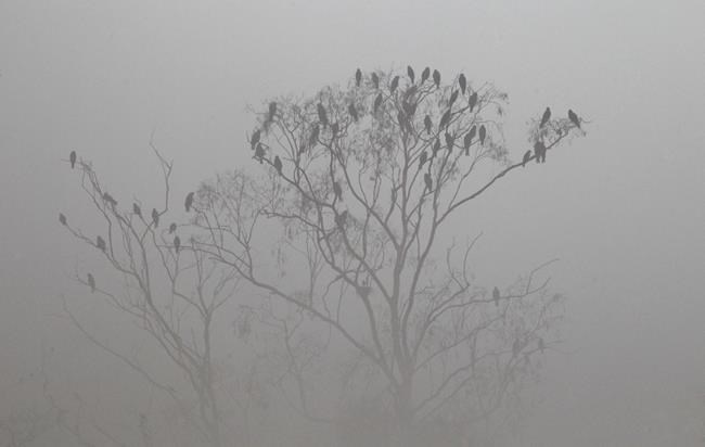 Polluted smog covers Pakistani city of Lahore | iNFOnews.ca Polluted smog covers Pakistani city of Lahore | iNFOnews.ca