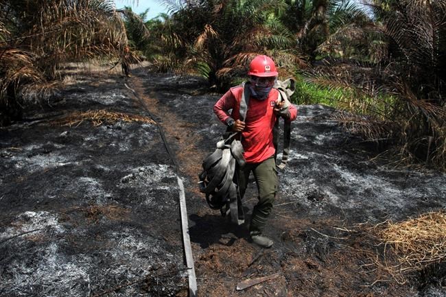 Indonesia steps up response to massive forest fires | iNFOnews.ca Indonesia steps up response to massive forest fires | iNFOnews.ca