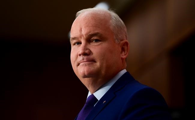 Canadians don't know much about Erin O'Toole but poll finds openness to him | iNFOnews.ca