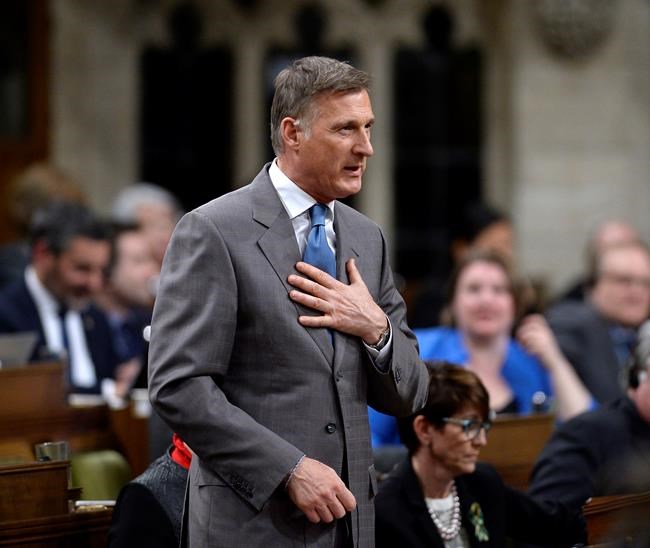 Tory unity must have room for Bernier despite book, strategist says | iNFOnews.ca Tory unity must have room for Bernier despite book, strategist says | iNFOnews.ca