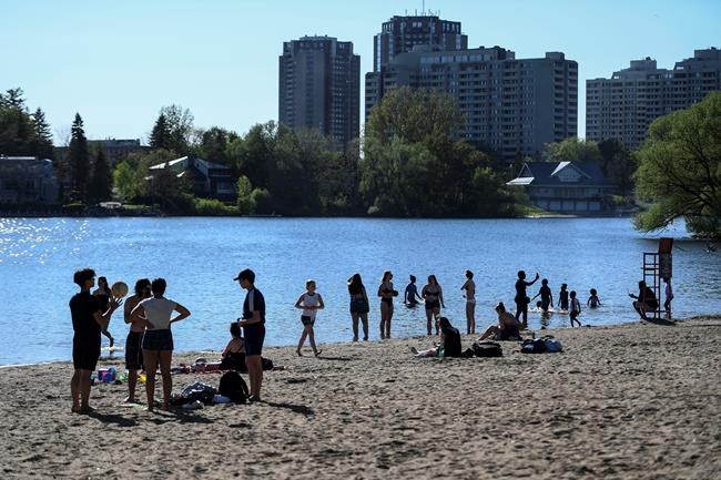 The latest numbers on COVID-19 in Canada | iNFOnews.ca The latest numbers on COVID-19 in Canada | iNFOnews.ca