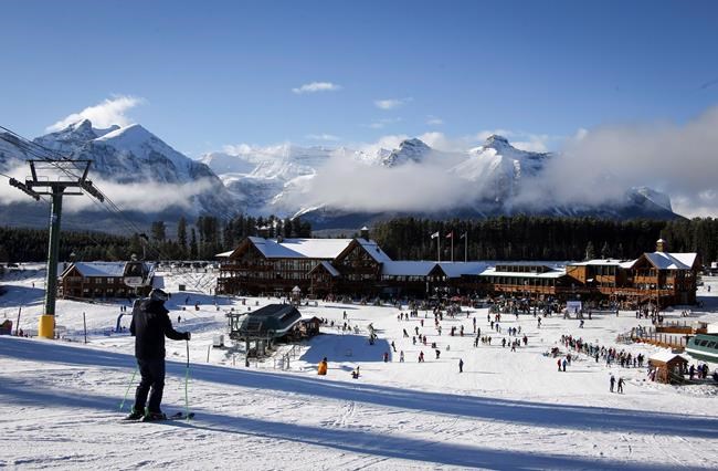 Lake Louise ski resort loses appeal of $2M fine for cutting endangered trees | iNFOnews.ca Lake Louise ski resort loses appeal of $2M fine for cutting endangered trees | iNFOnews.ca
