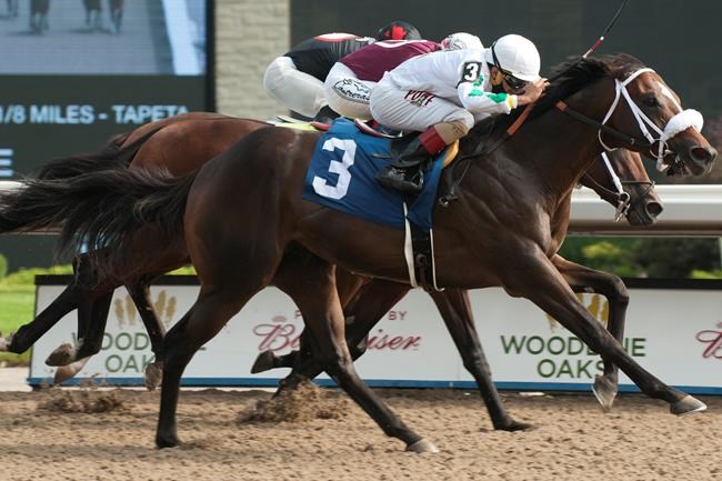 Plate Trial winner Clayton being pointed to Prince of Wales Stakes | iNFOnews.ca