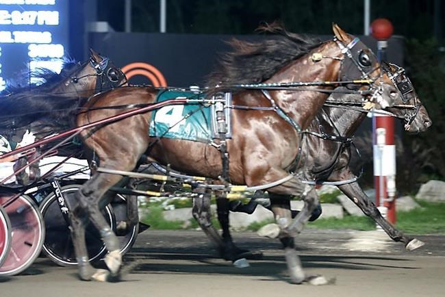 Veteran driver Yannick Gingras feeling good about Pepsi North America Cup | iNFOnews.ca