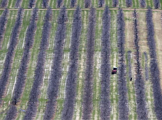 Advocates warn of 'disaster' if more protections not given to migrant workers | iNFOnews.ca