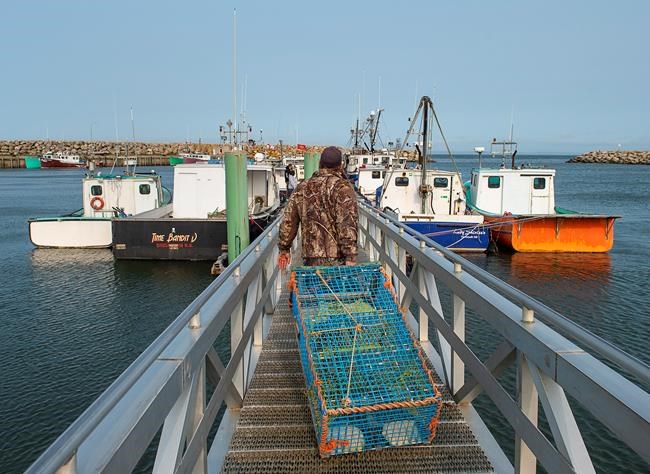 Mi'kmaq power, inside and beyond Ottawa, stronger than in past fishery battles | iNFOnews.ca CP485090290