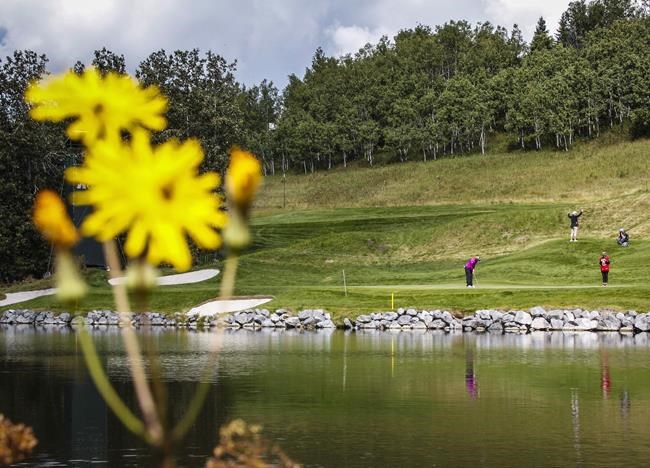 Alberta golf industry lobbies to open courses amid COVID-19 pandemic | iNFOnews.ca