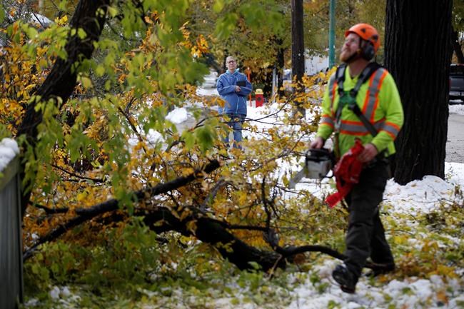 Crews working to restore power after Manitoba snowstorm will be able to vote | iNFOnews.ca CP419008797