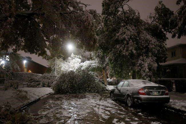 Manitoba Hydro unable to estimate how long some customers will be without power | iNFOnews.ca