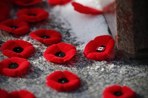 Separating fact from fiction in wars past and present a growing challenge | iNFOnews.ca CP30662519
