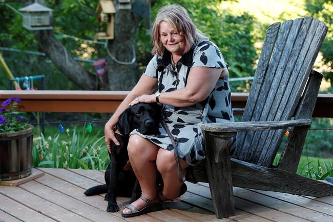 Guide dog users, providers say proposed rules disregard needs of visually impaired | iNFOnews.ca