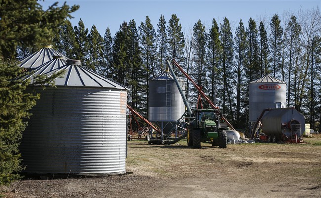 Safety expert calls for awareness after Alberta sisters suffocate in grain truck | iNFOnews.ca CP34945121