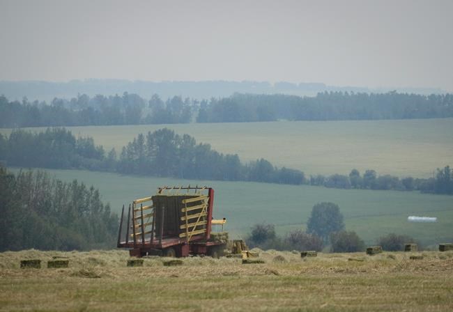 Wildfire danger prompts fire bans in Alberta; air quality warnings issued | iNFOnews.ca