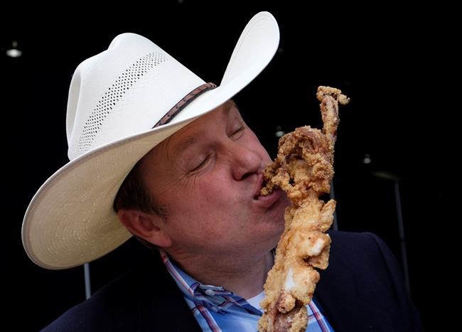 Cheesy chicken hearts, calf testicles join corn dogs on Calgary Stampede menu | iNFOnews.ca