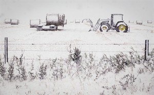 Heavy snow puts damper on waning days of Calgary summer | iNFOnews.ca CP29819081