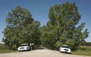 CP29076023
