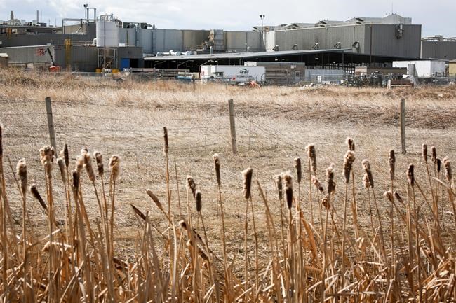 Cargill beef plant to reopen next week after COVID-19 outbreak forced closure | iNFOnews.ca